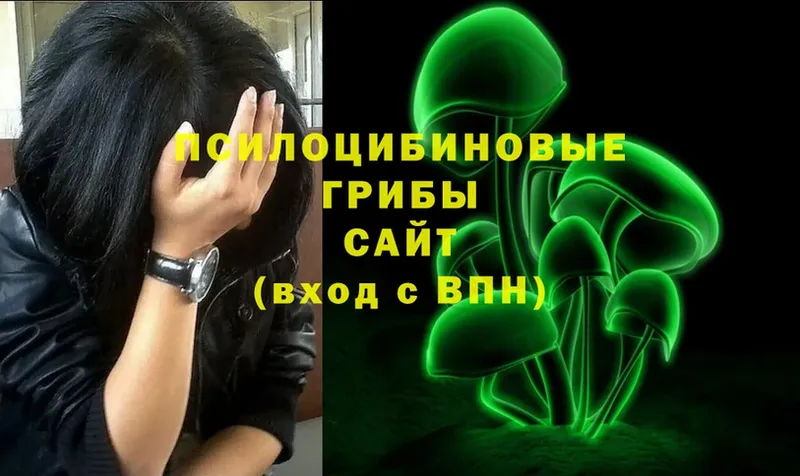 купить   Никольское  Псилоцибиновые грибы Magic Shrooms 